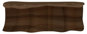 bg2_mudflat3