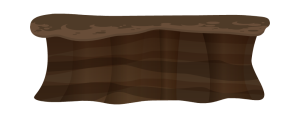 bg2_mudflat4