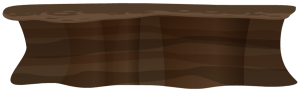 bg2_mudflat5